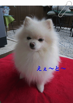 b0167519_9131573.gif