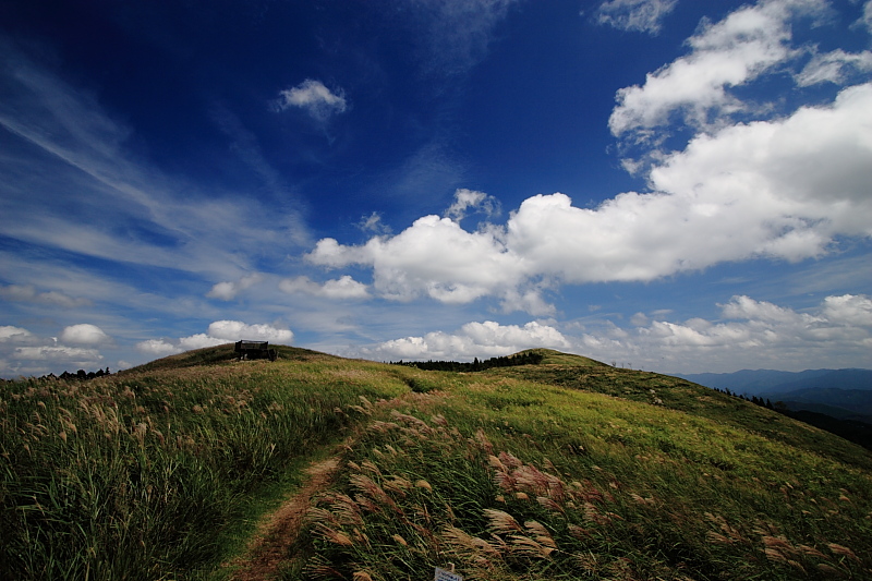 f0031423_21571838.jpg