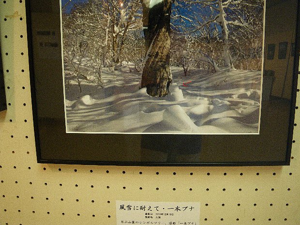f0118332_20201263.jpg
