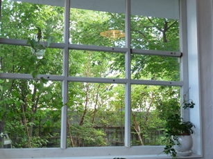 c0100534_8472784.jpg
