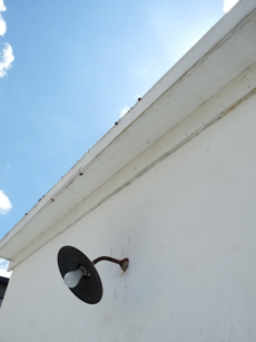 c0100534_8493649.jpg