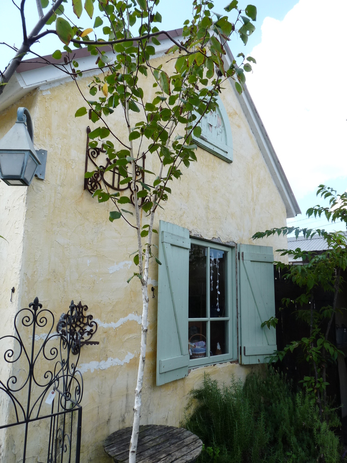 c0100534_922184.jpg