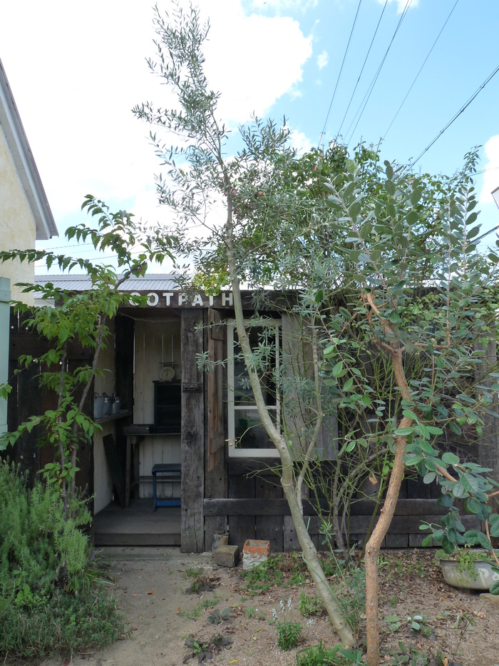c0100534_93230.jpg