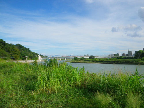d0252642_23442735.jpg