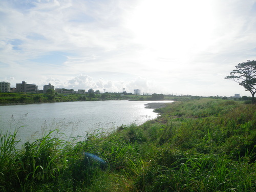 d0252642_23524253.jpg