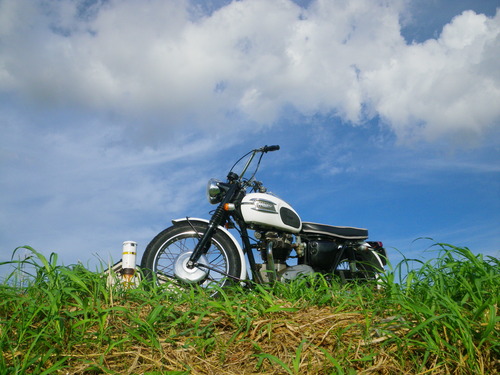 d0252642_23541810.jpg
