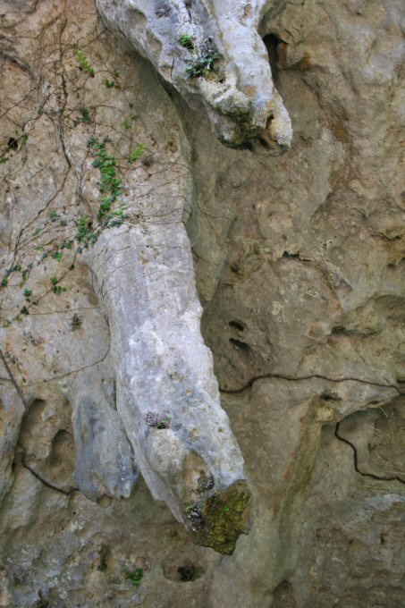 f0174244_2234423.jpg