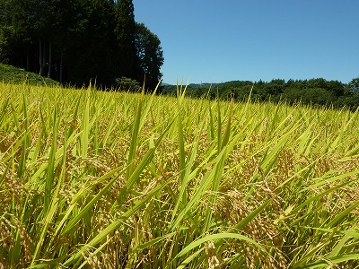 c0220047_10185565.jpg