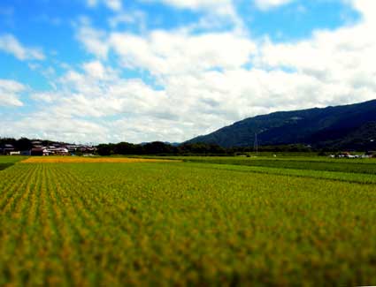 d0029958_173331100.jpg