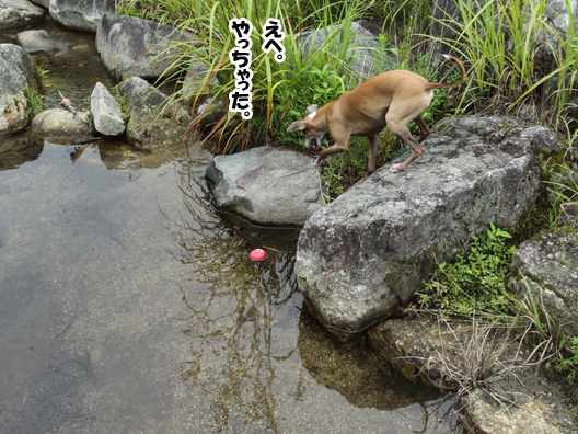 f0158862_2004145.jpg