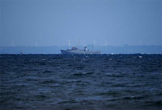 c0122266_082550.jpg