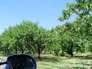 f0232767_1934019.jpg