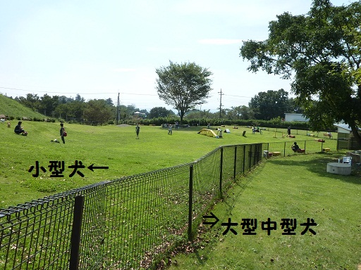 d0004968_2312568.jpg