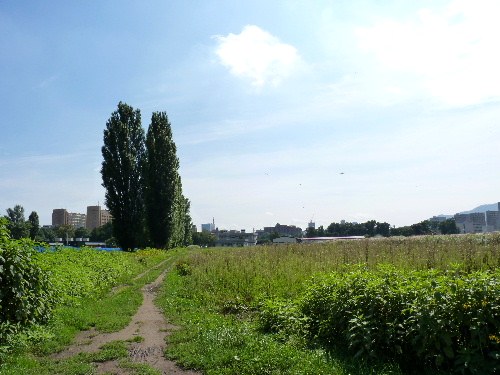 d0084473_21295540.jpg