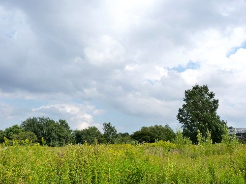 d0084473_21301452.jpg