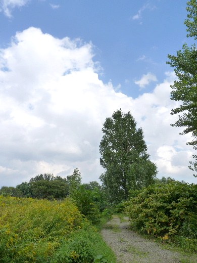d0084473_21302457.jpg