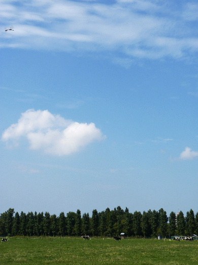 d0084473_2130411.jpg