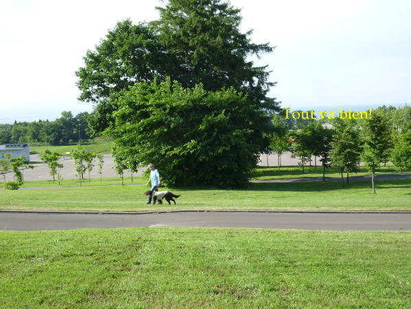 e0165577_16224690.jpg