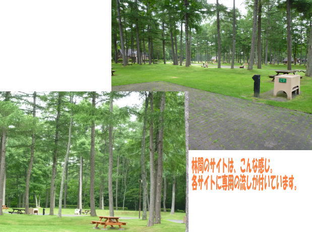 e0165577_167484.jpg