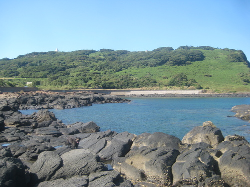 d0174683_23504016.jpg