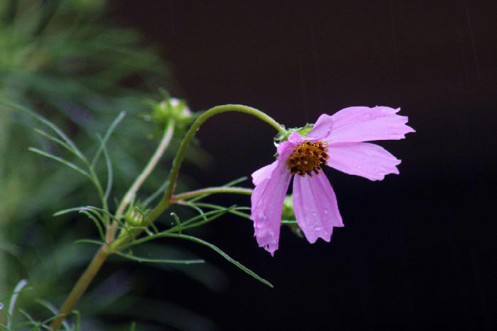 b0171185_2134952.jpg
