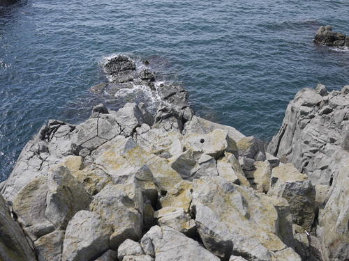 e0197785_23122234.jpg
