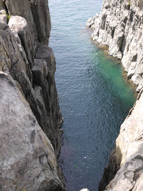 e0197785_231338.jpg