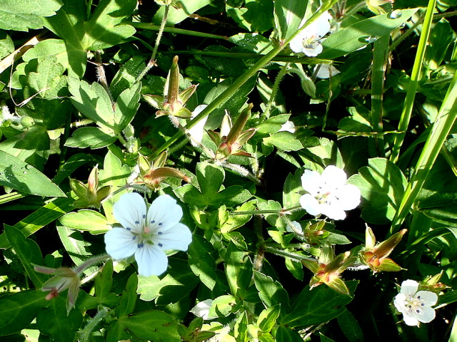 a0007388_13555046.jpg