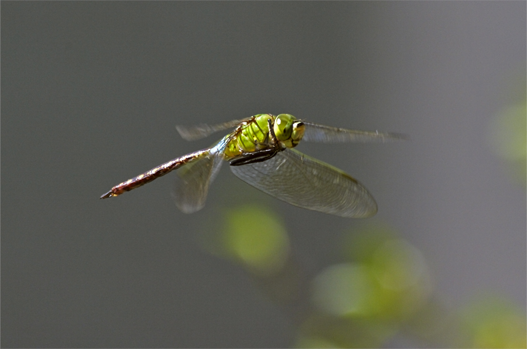 d0209988_17124246.jpg