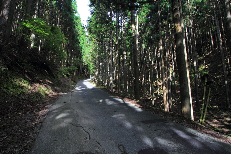 e0051888_22113724.jpg