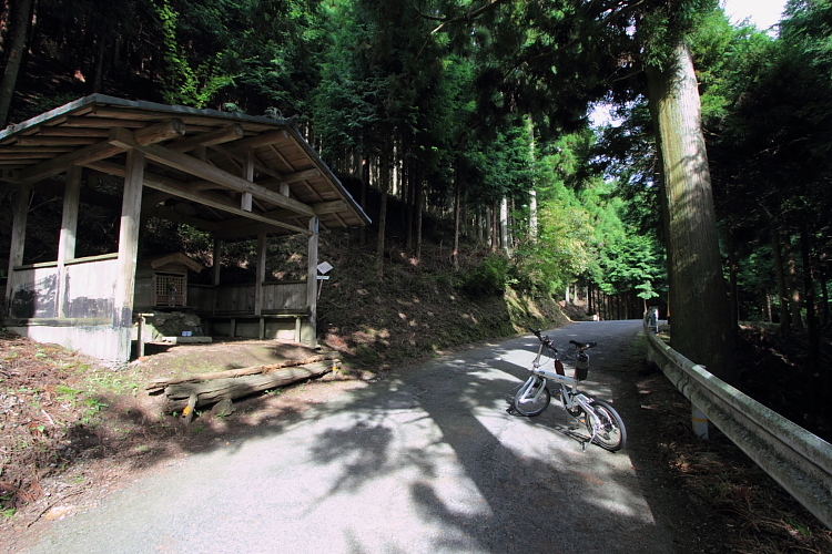 e0051888_22122355.jpg