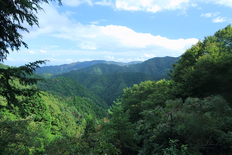 e0051888_2213257.jpg
