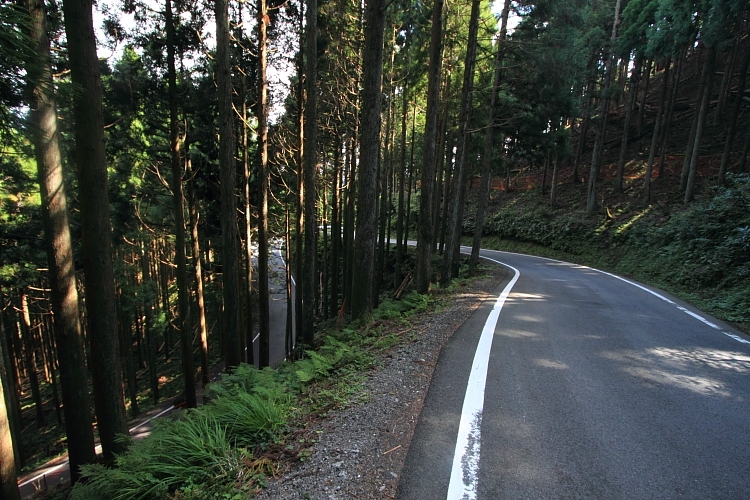 e0051888_2294730.jpg