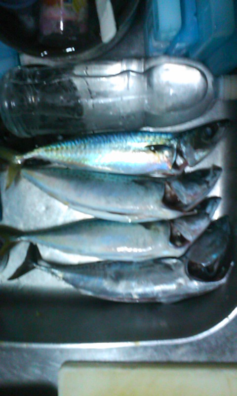 f0191888_1230339.jpg