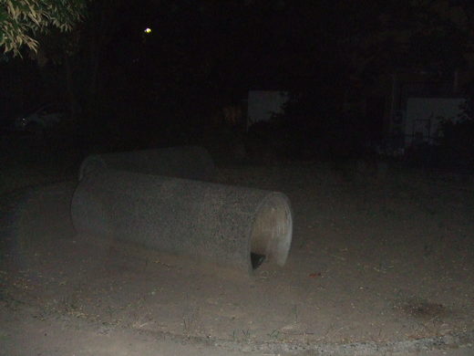 b0074992_14141788.jpg