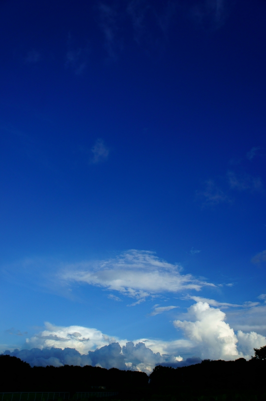 a0185693_615162.jpg