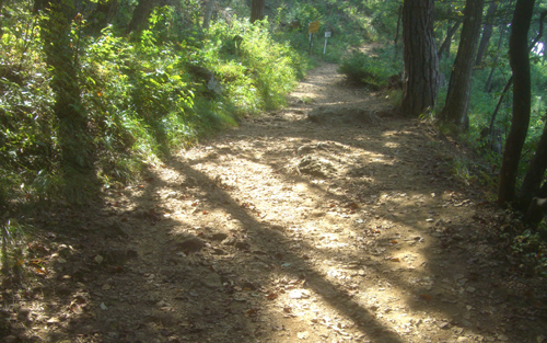 b0099994_12395316.jpg