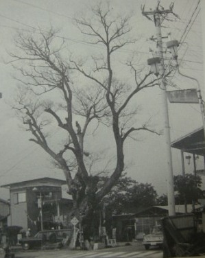 c0018195_20552280.jpg
