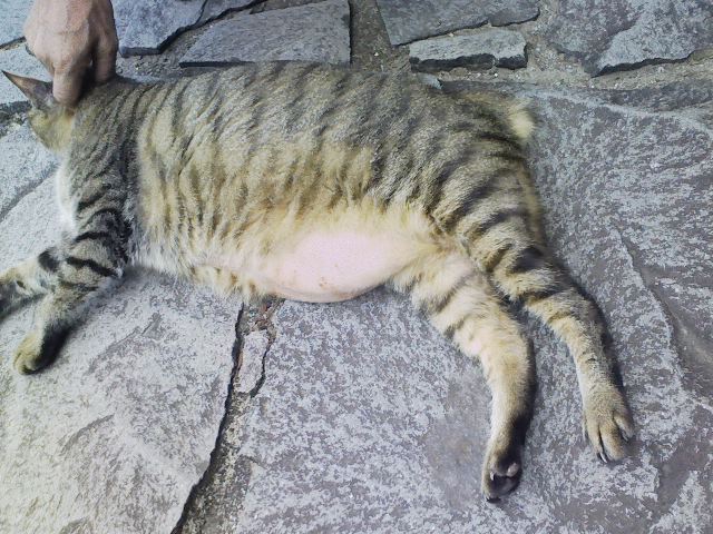 d0055397_104155.jpg