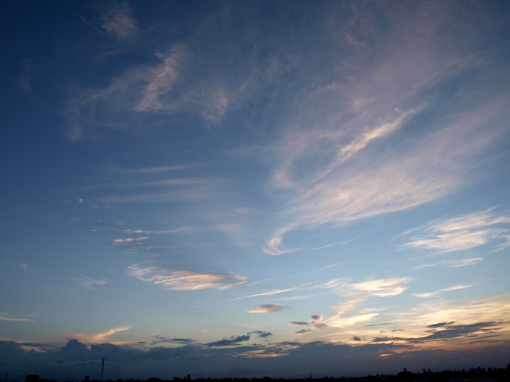 f0108399_17564292.jpg