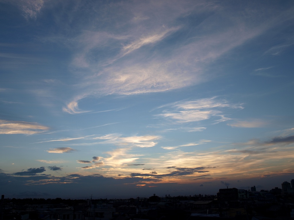 f0108399_1756553.jpg