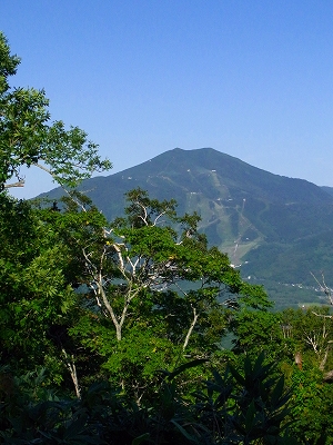 f0157901_2053462.jpg