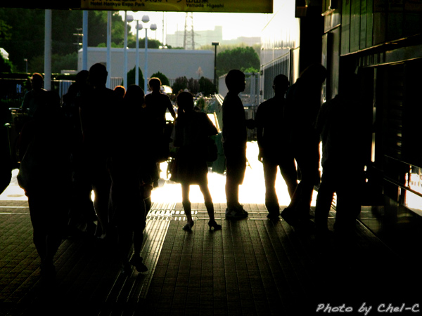 a0154706_1017822.jpg