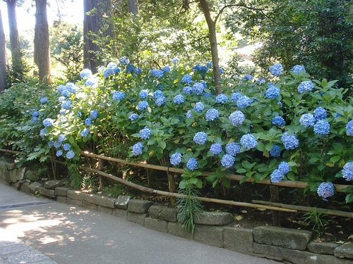 c0110906_15352999.jpg