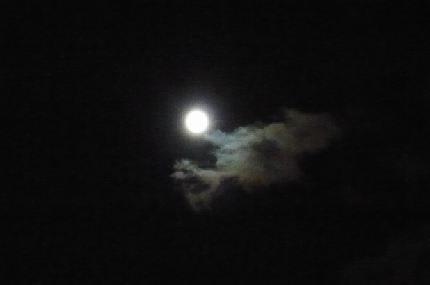 f0221708_1553494.jpg