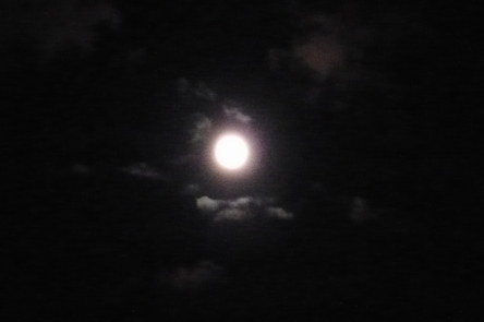 f0221708_155369.jpg