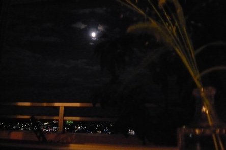 f0221708_1554357.jpg