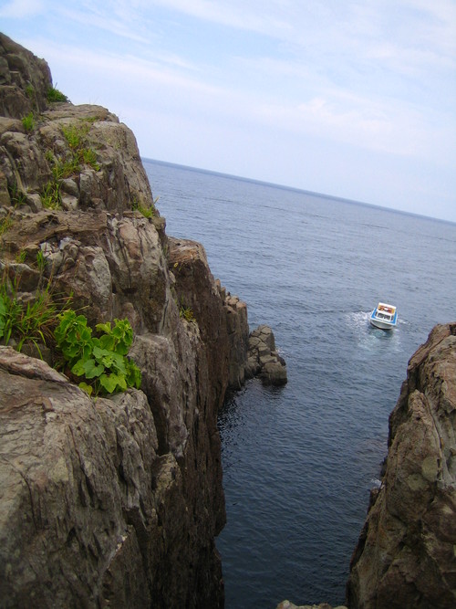 f0198010_12583247.jpg