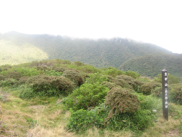 d0006512_10135330.jpg