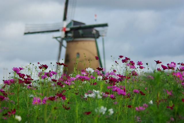 d0147812_21491868.jpg